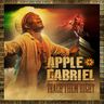 Apple Gabriel - Teach Them Right album cover