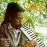 Augustus Pablo - Blowing With The Wind album cover