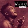 Awilo Longomba - Moto-pamba album cover