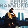 Beres Hammond - A Day in the Life album cover