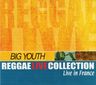 Big Youth - Live In France (reggae live collection) album cover