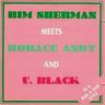 Bim Sherman - Bim Sherman Meets Horace Andy & U Black (In A Rub A Dub Style) album cover