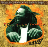 Bingui Jaa Jammy - Fire inna jungle album cover