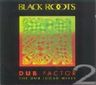 Black Roots - Dub Factor 2: The Dub Judah Mixes album cover