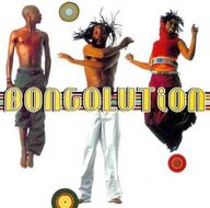 Bongo Maffin - Bongolution album cover