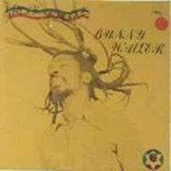 Bunny Wailer - Rock and Groove album cover