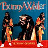 Bunny Wailer - Rootsman Skanking album cover