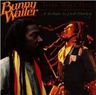 Bunny Wailer - Time Will Tell album cover