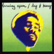 Burning Spear - Dry & Heavy album cover