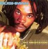 Bushman - My Meditation album cover