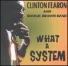 Clinton Fearon - What a System album cover