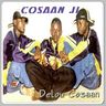 Cosaan ji - Delou cosaan album cover