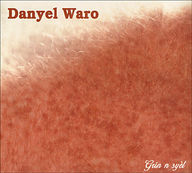 Danyel Waro - Grin n syèl album cover