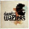 David Walters - Awa album cover