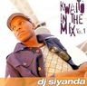 DJ Siyanda - Kwaito in the mix Vol.1 album cover