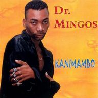 Dr Mingos - Kanimambo album cover