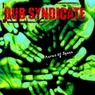 Dub Syndicate - Acres of Space album cover