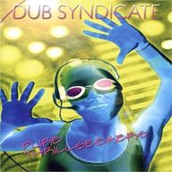 Dub Syndicate - Pure Thrillseekers album cover