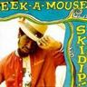 Eek a Mouse - Skidip album cover