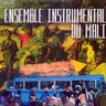 Ensemble Instrumental du Mali - Ensemble Instrumental du Mali album cover