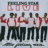 Feeling Star - Min Feeling Man album cover