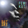 Femi Anikulapo Kuti - Day by day album cover