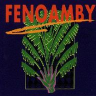 Fenoamby - Mariazy album cover
