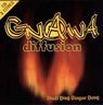 Gnawa Diffusion - Inaâl Ding Dingue Dong album cover