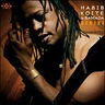 Habib Koité - Afriki album cover