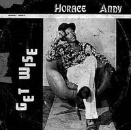 Horace Andy - Get Wise album cover