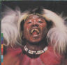Hukwe Zawose - Chibite album cover