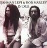 Ijahman - Ijahman and Bob Marley in Dub album cover