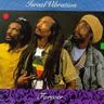 Israel Vibration - Forever album cover