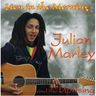 Julian Marley - Lion In The Morning album cover
