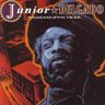 Junior Delgado - Raggamuffin Year album cover