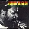 Junior Delgado - Sisters & Brothers album cover
