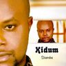 Kidum - Shamba album cover