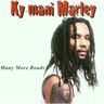 Ky Mani Marley - Many More Roads album cover
