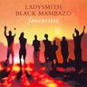 Ladysmith Black Mambazo - Favourites album cover