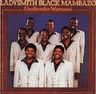 Ladysmith Black Mambazo - Umthombo Wamanzi album cover