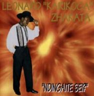 Leonard Karikoga Zhakata - Ndingaite Sei? album cover