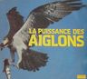 Les Aiglons - La Puissance des Aiglons album cover