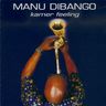 Manu Dibango - Kamer Feeling album cover