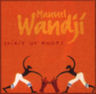 Manuel Wandji - Spirit of roots album cover