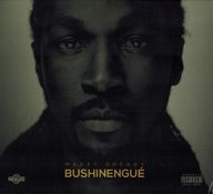 Maxxy Dready - Bushinengué album cover