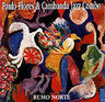 Paulo Flores - Rumo Norte album cover