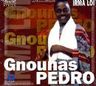 Pedro Gnonnas - Irma koi album cover