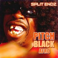 Pitch Black Afro - Split endz album cover