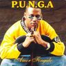 Punga - Amor fingido album cover