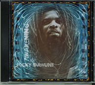 Rocky Dawuni - Awakening album cover